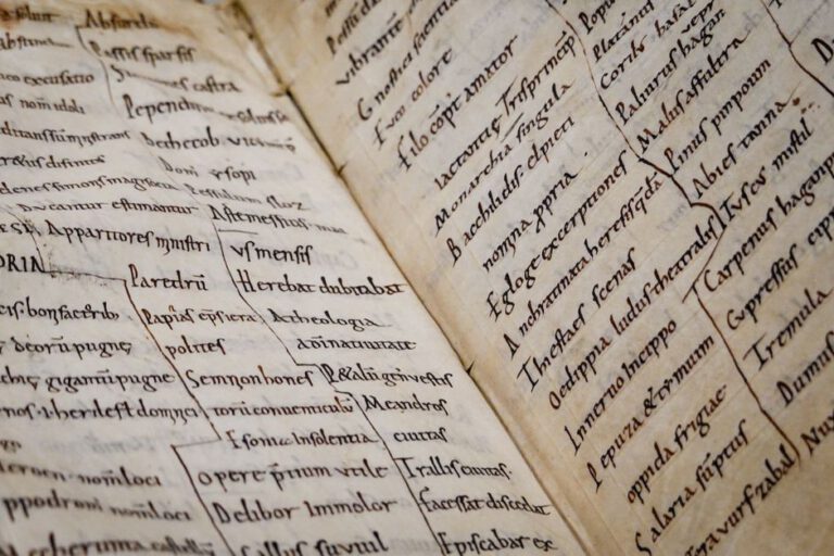 Manual de confesores de Azpilcueta: economía y moral en la Escuela de Salamanca